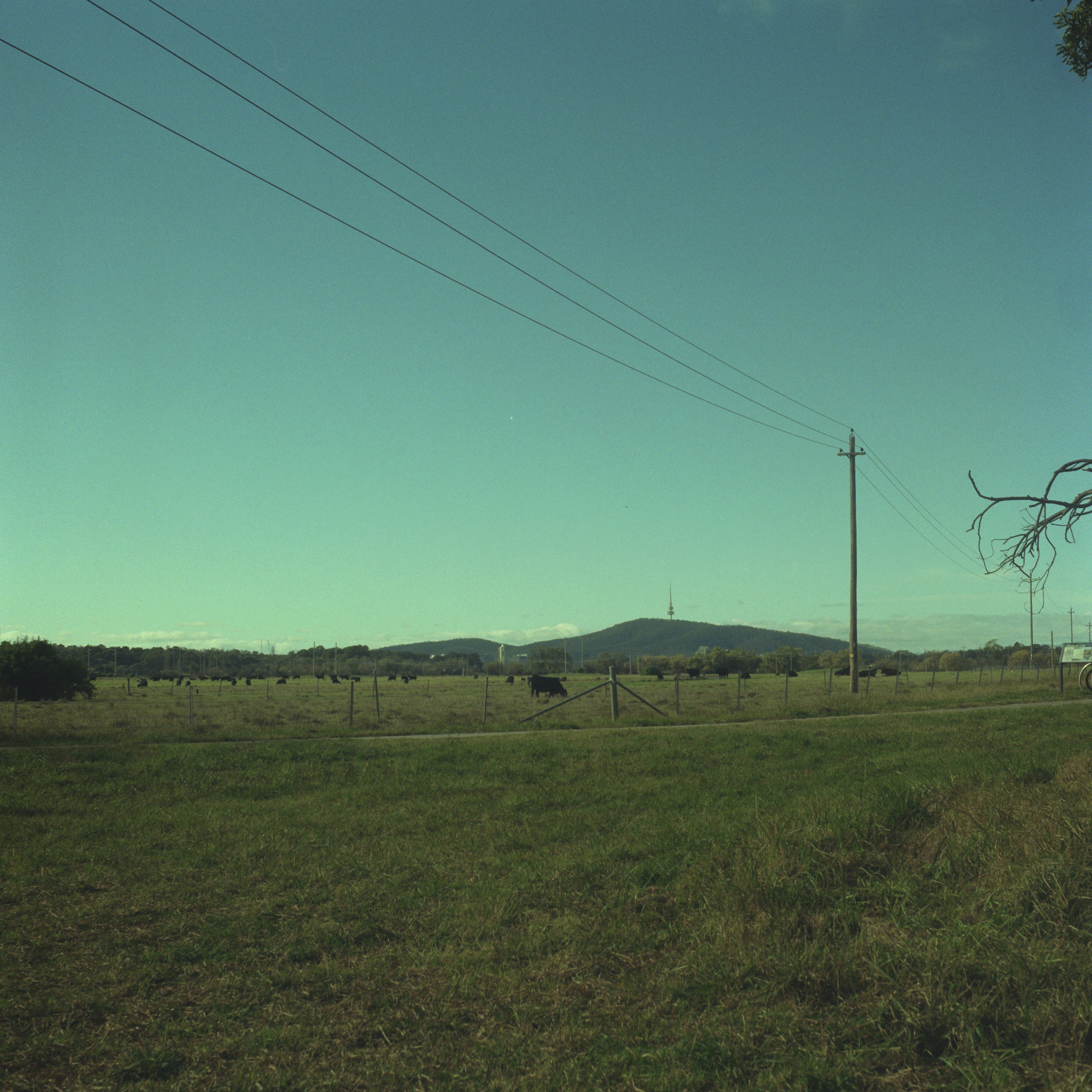 powerlinestower