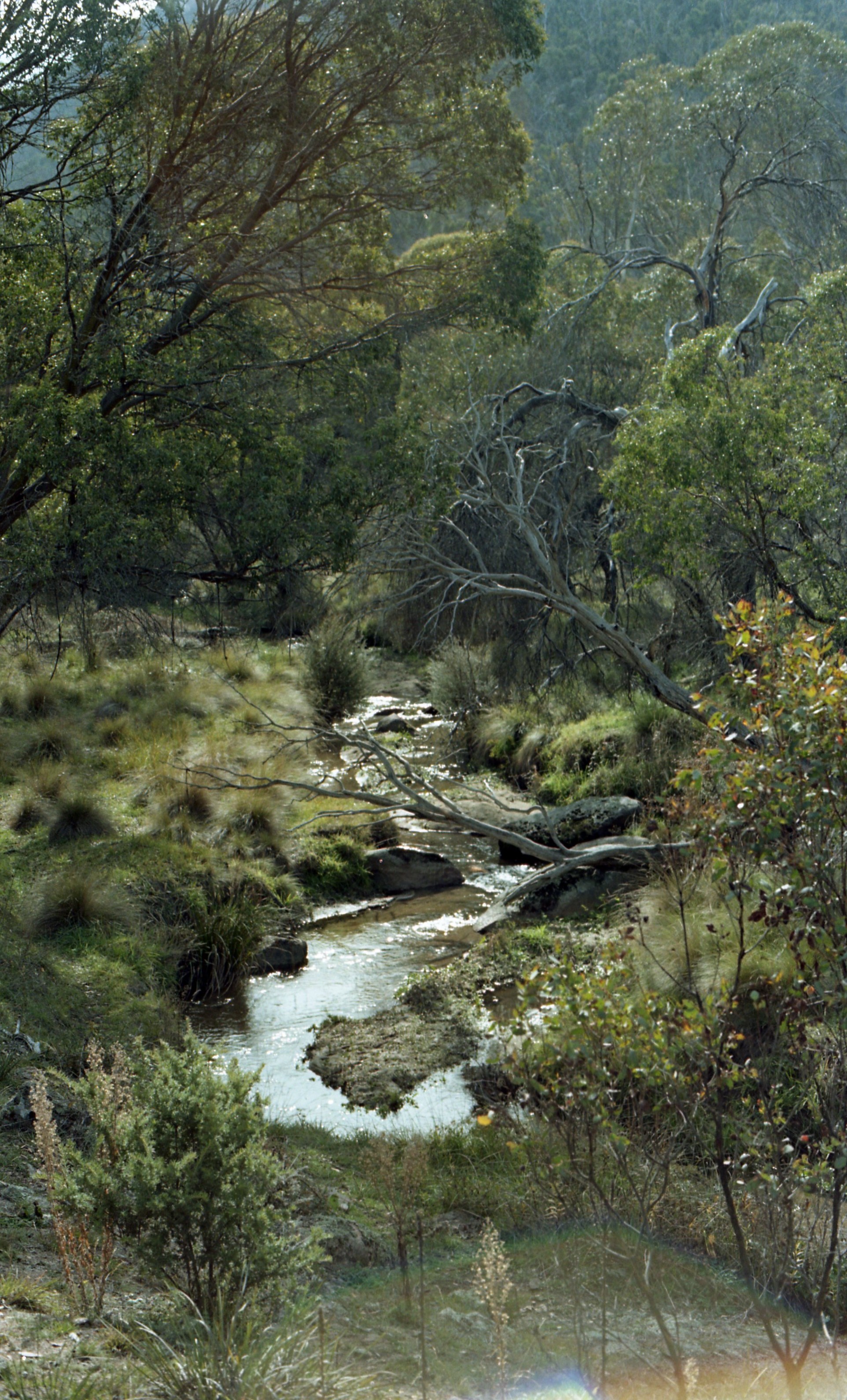 stream